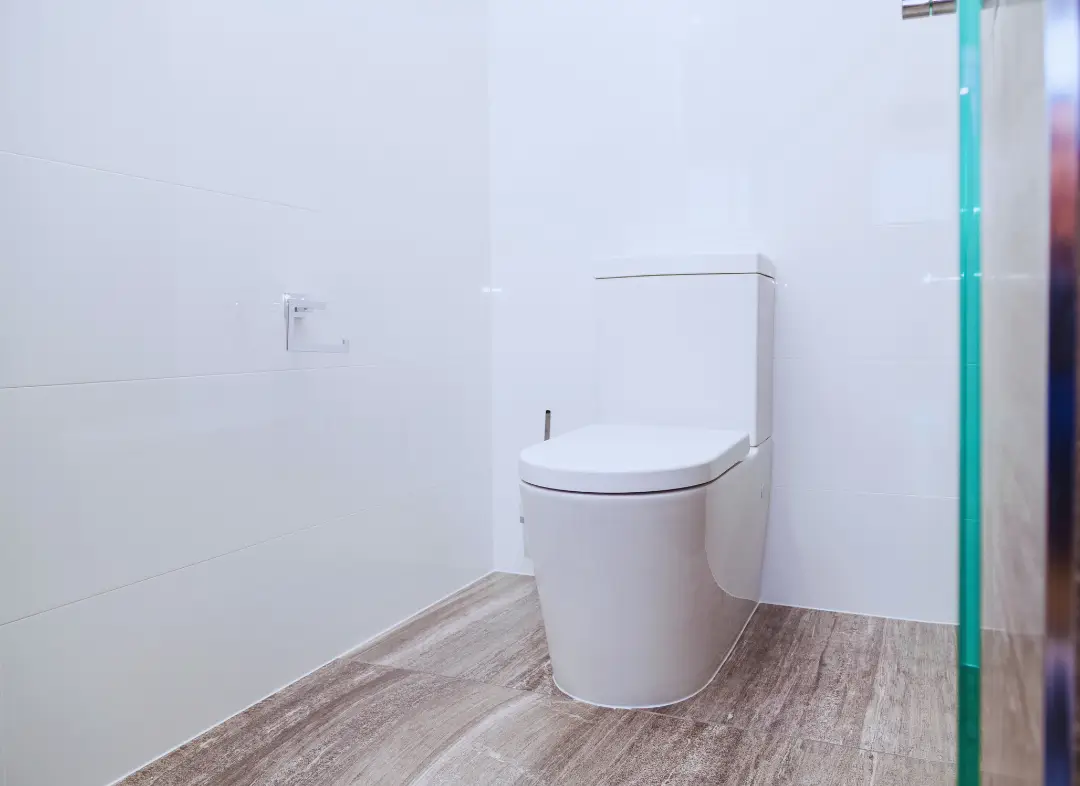 Remplacement de wc Le Loroux-Bottereau