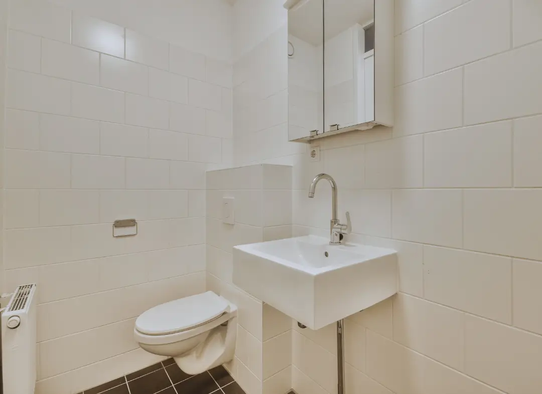 Pose WC Suspendu Le Loroux-Bottereau